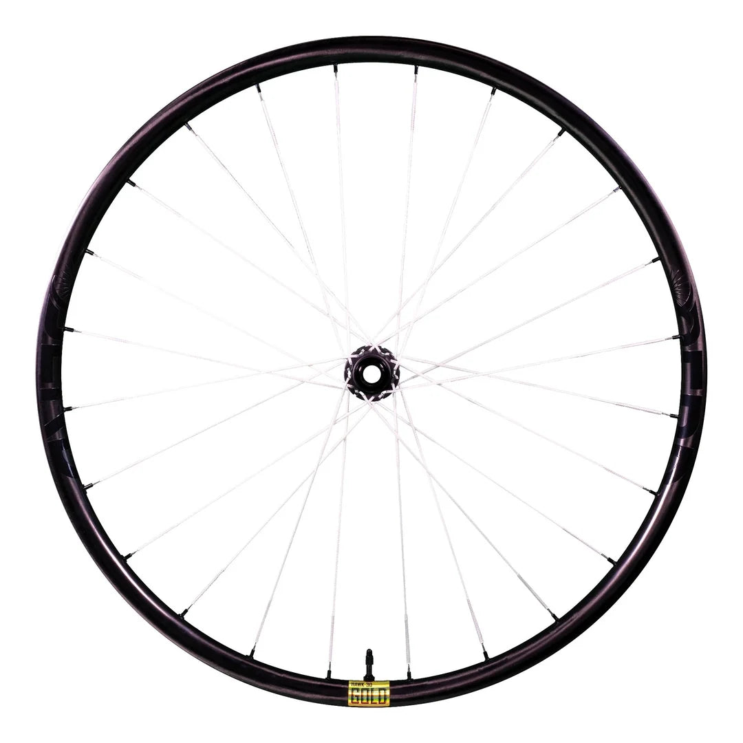 Berd HAWK30 Gold Carbon Wheels